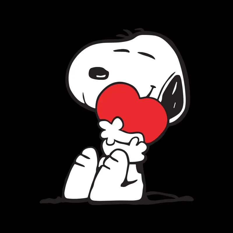 Polerón Snoopy Love