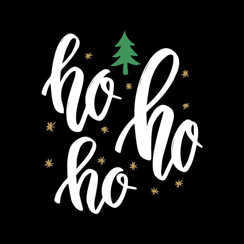 Polera Navidad Ho Ho Ho